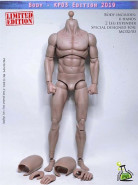 1/6 Scale Muscle Body pale KP03 2019 Version